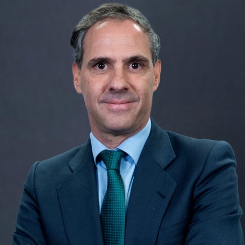 IGNACIO PEREÑA PINEDO